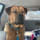 Mr. Duke Gustafson