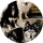 TheHusky Pawsee