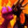 Spyro and Cynder