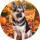 furbabygram