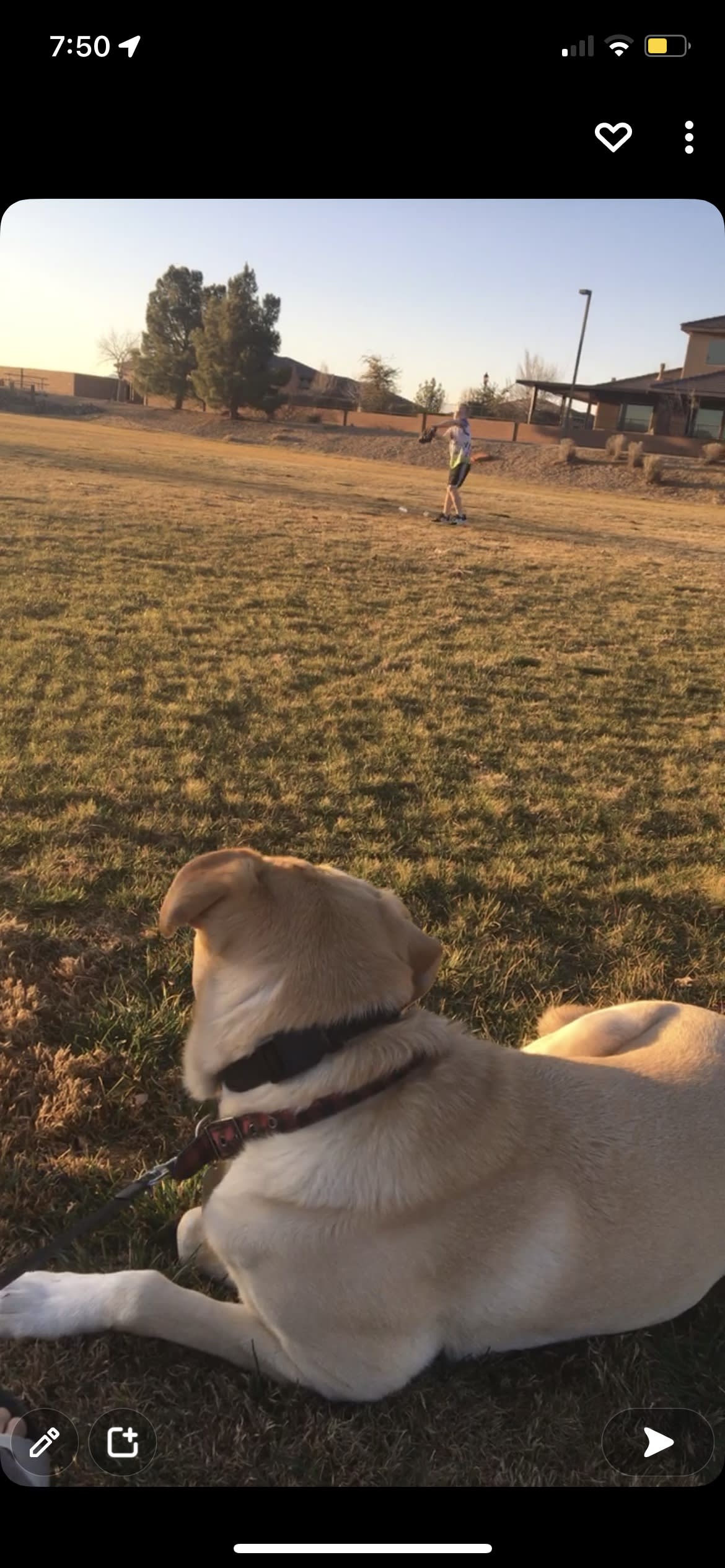 Otis Otis