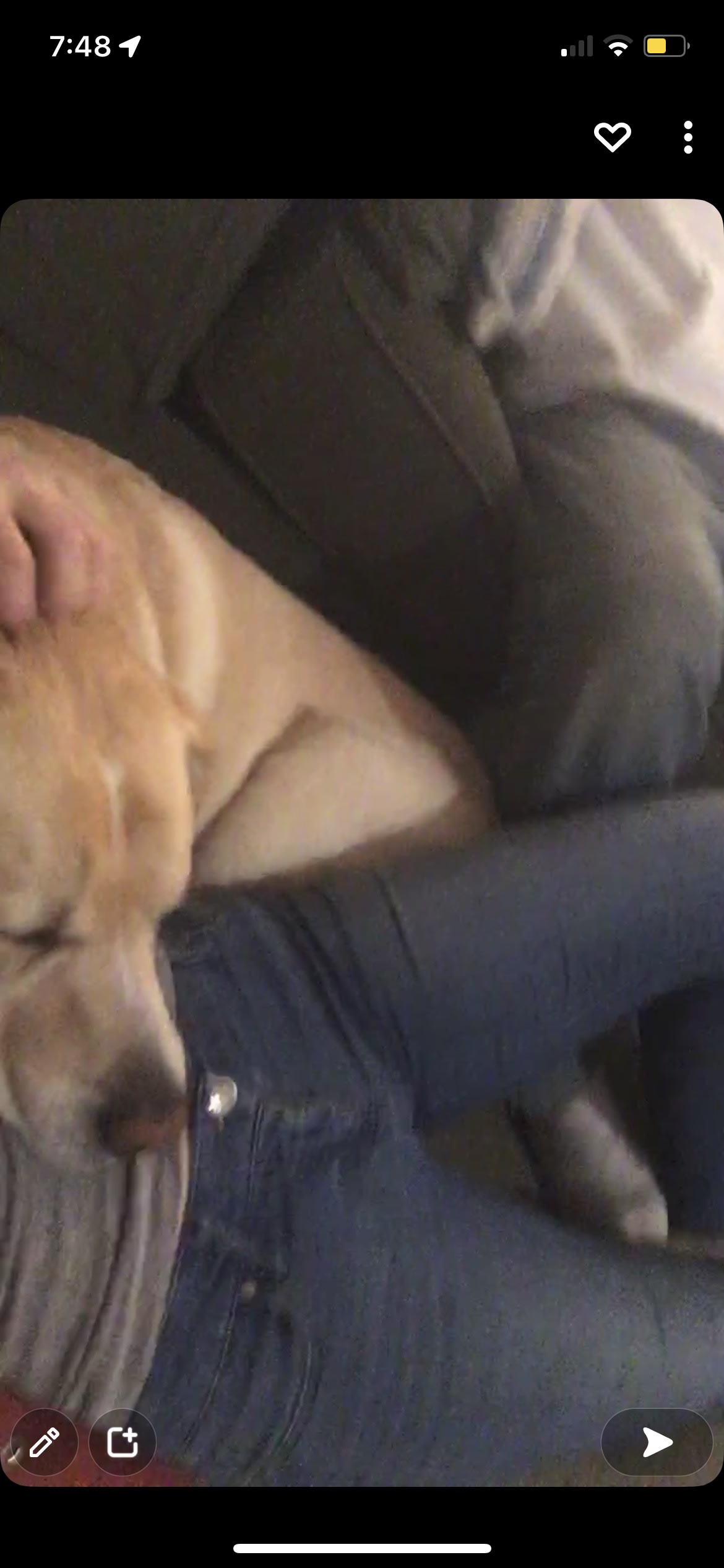 Otis Otis