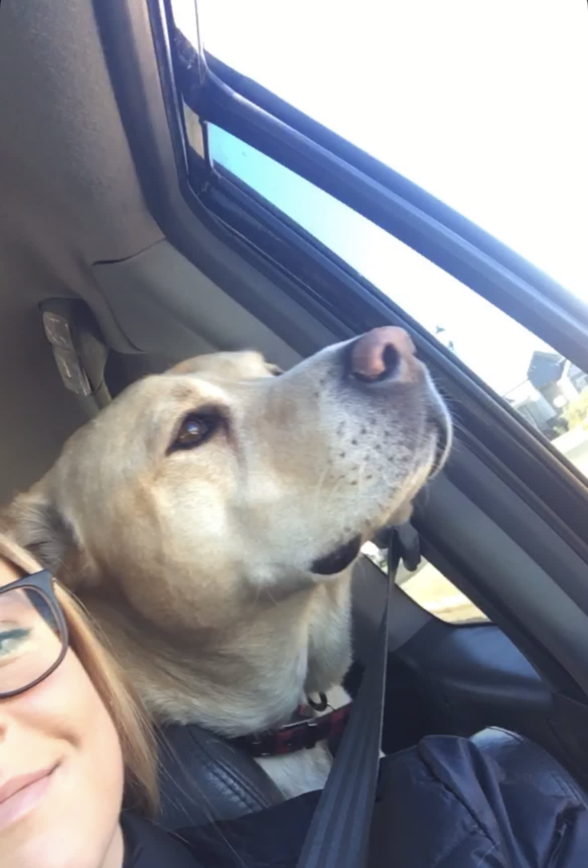 Otis Otis