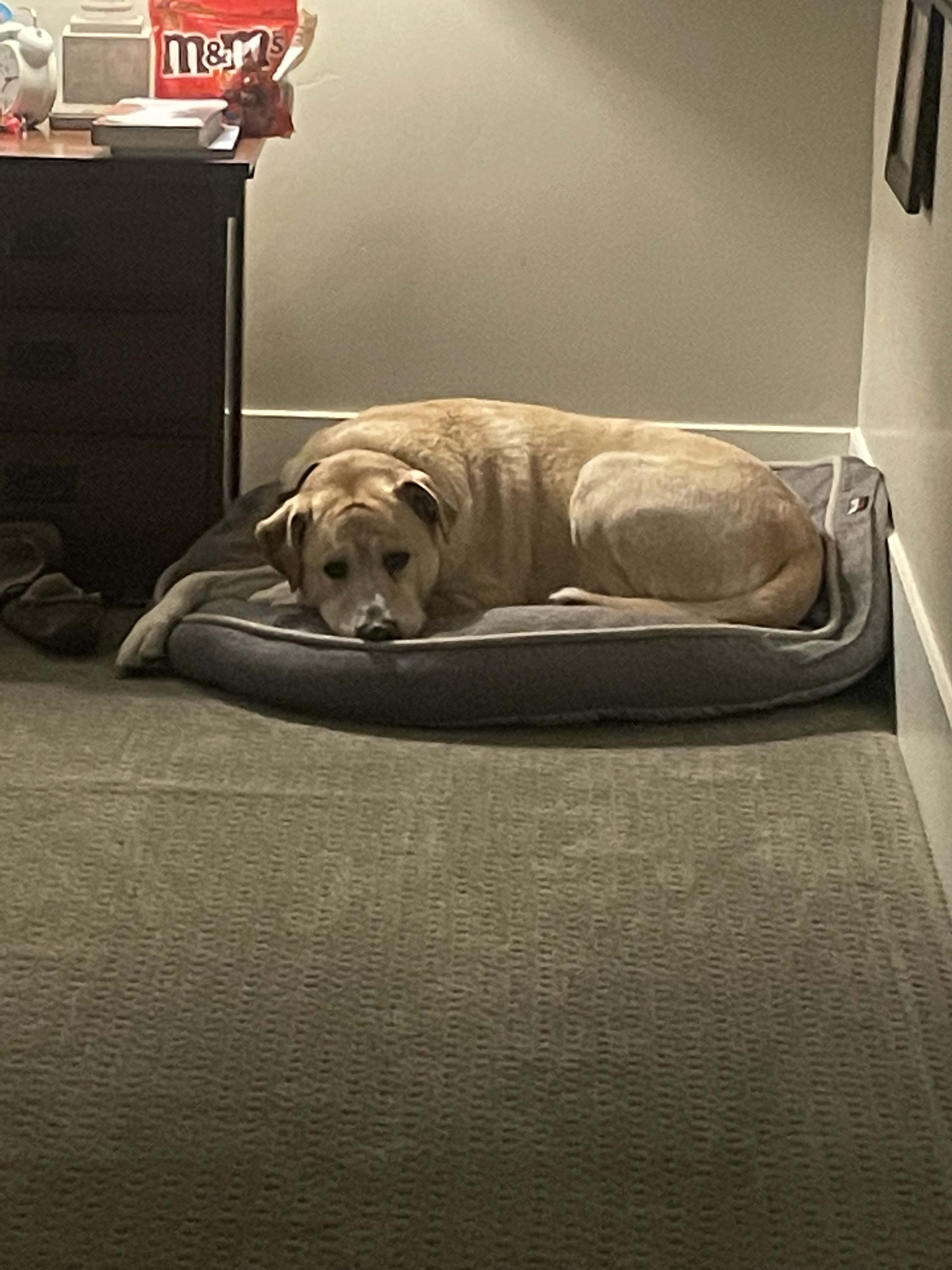 Otis Otis