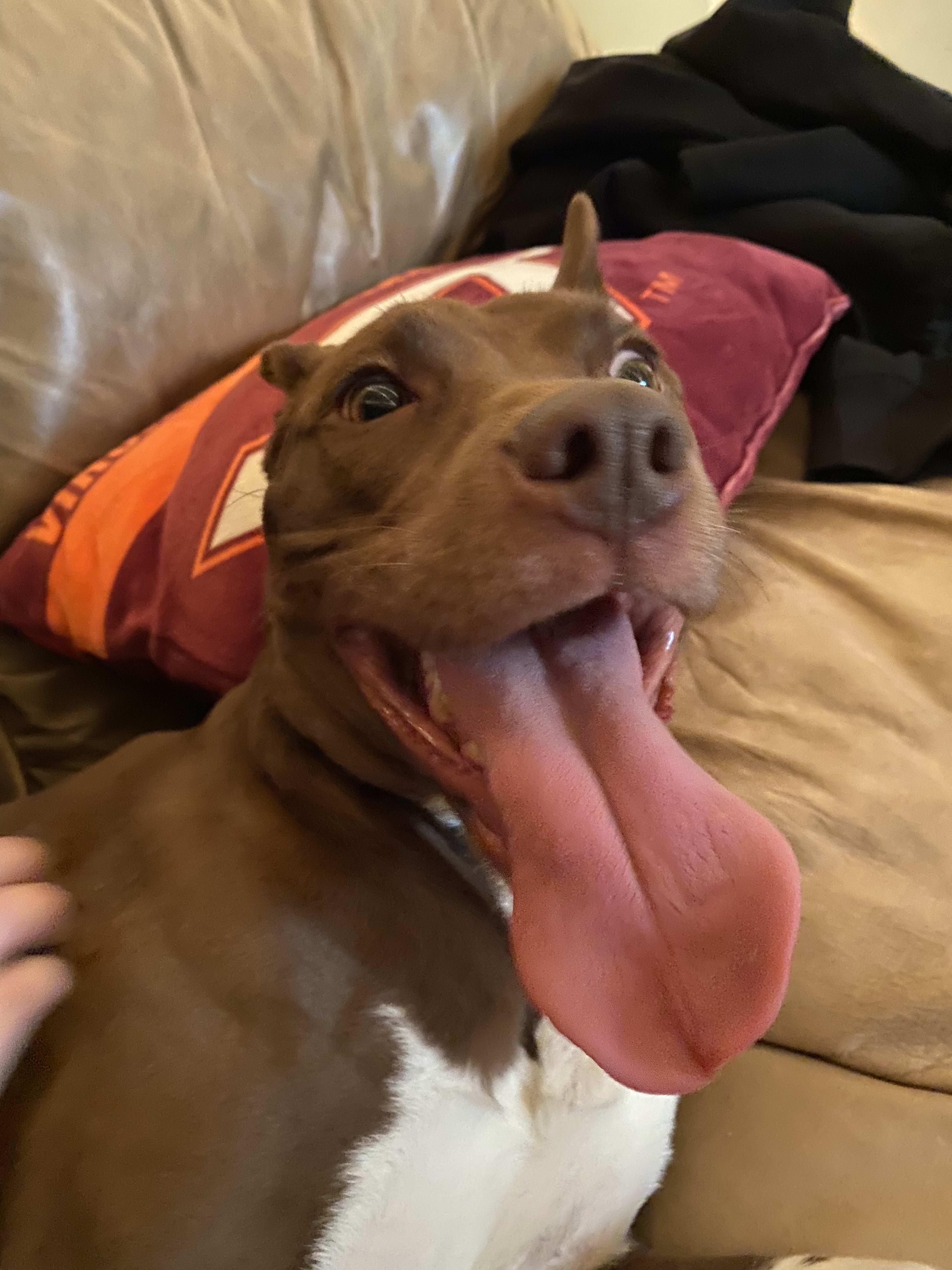 Max Max