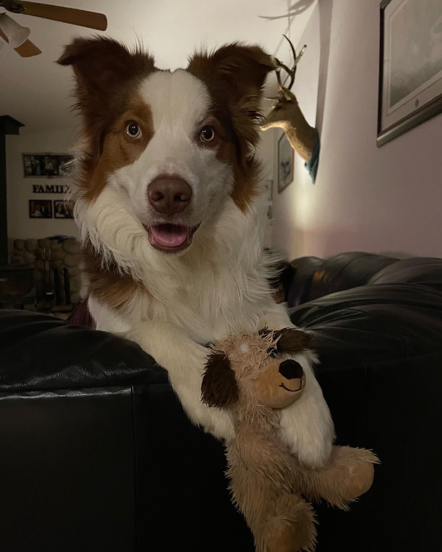 Ollie Ollie