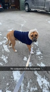 Simba Simba