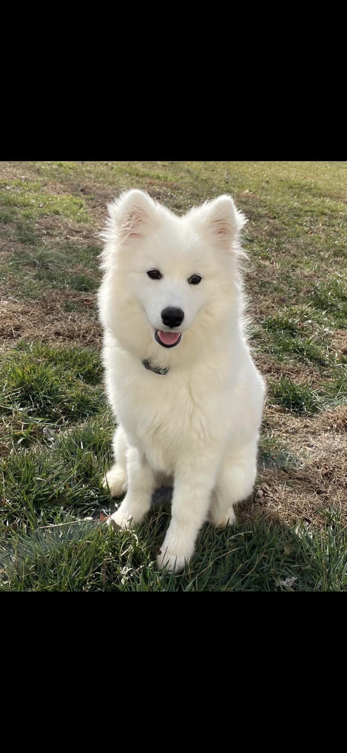Ella Ella