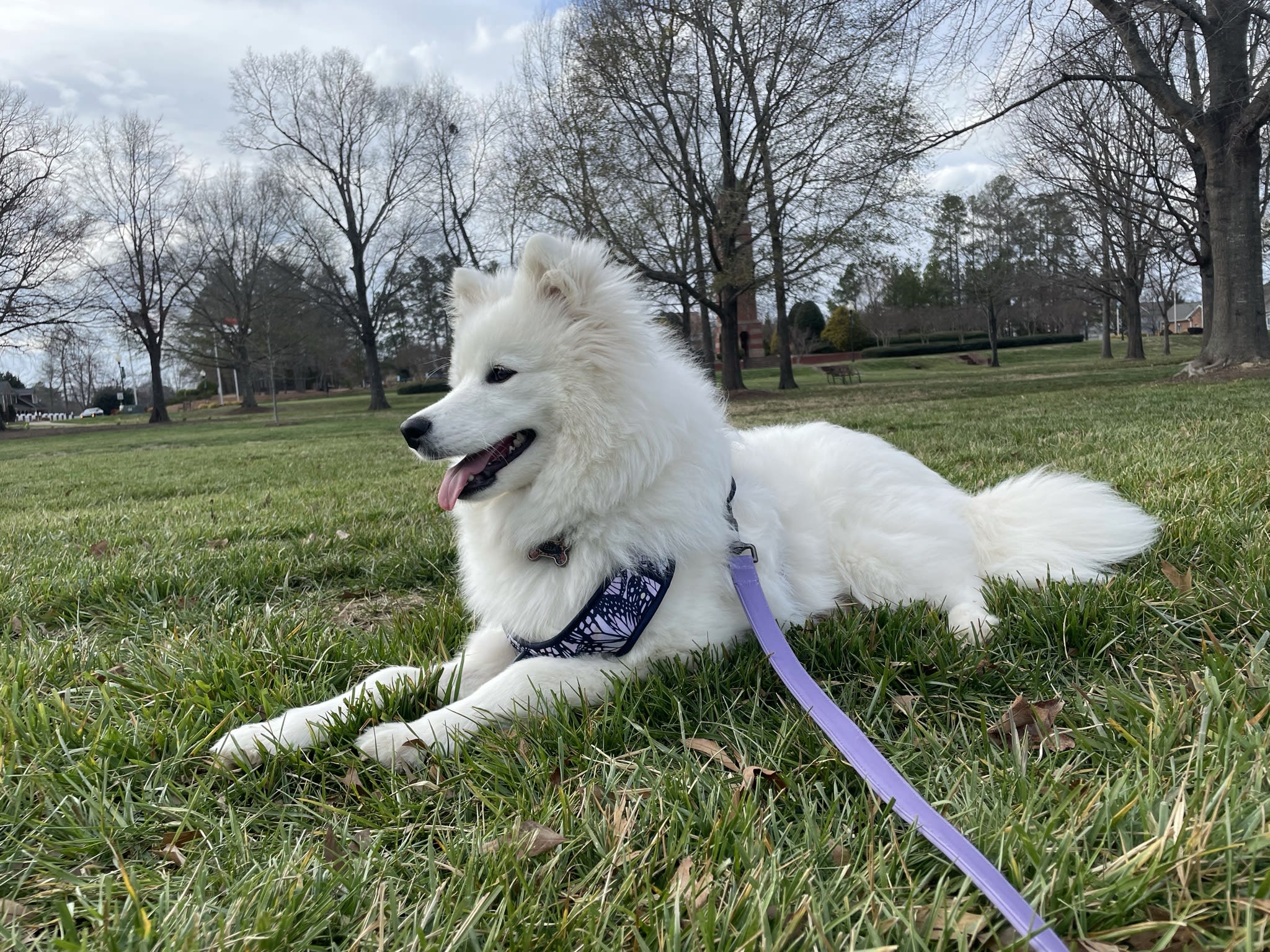 Ella Ella