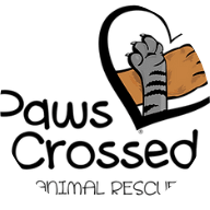 Paws Crossed Animal Rescue