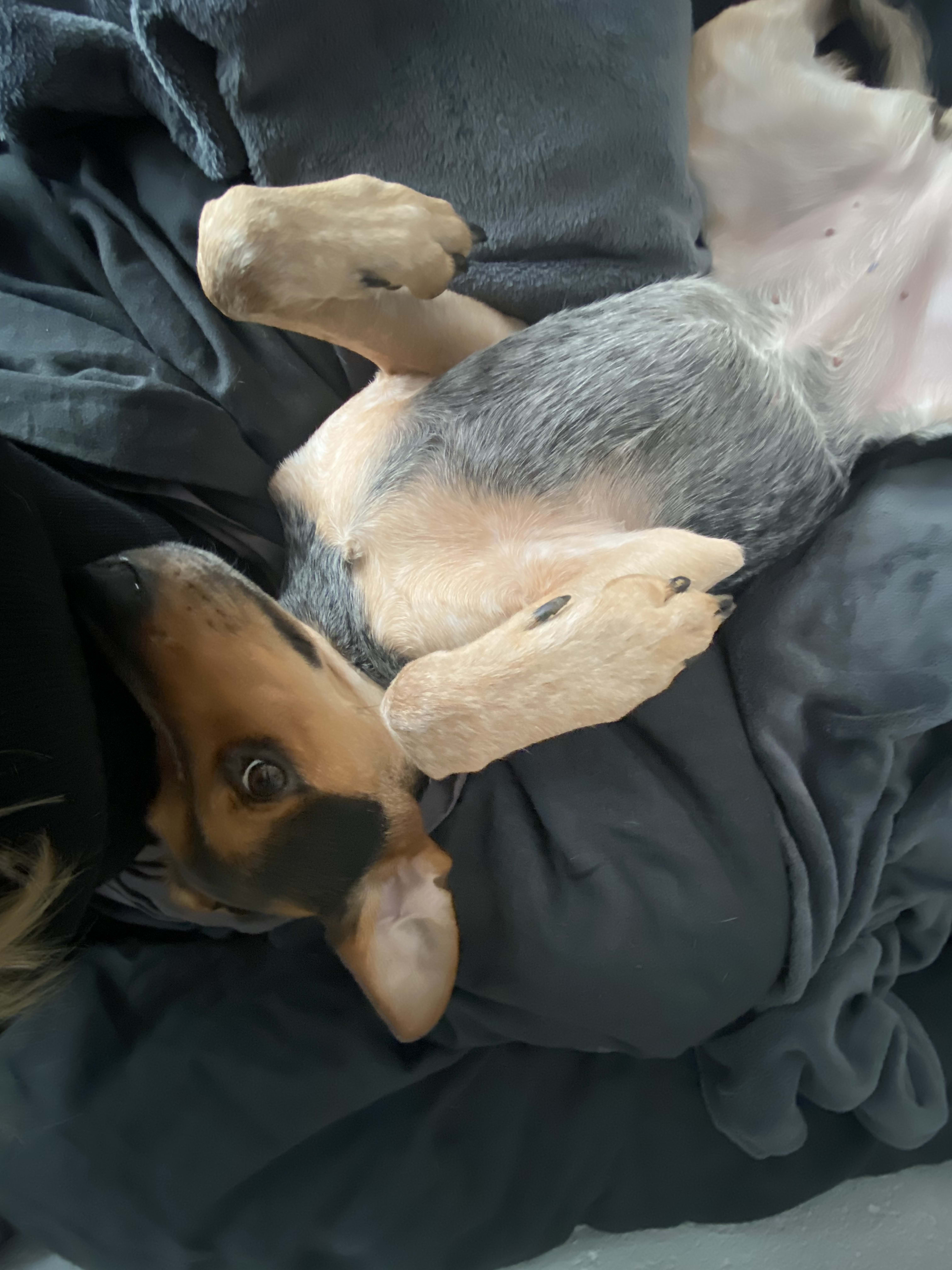 Marnie Marnie