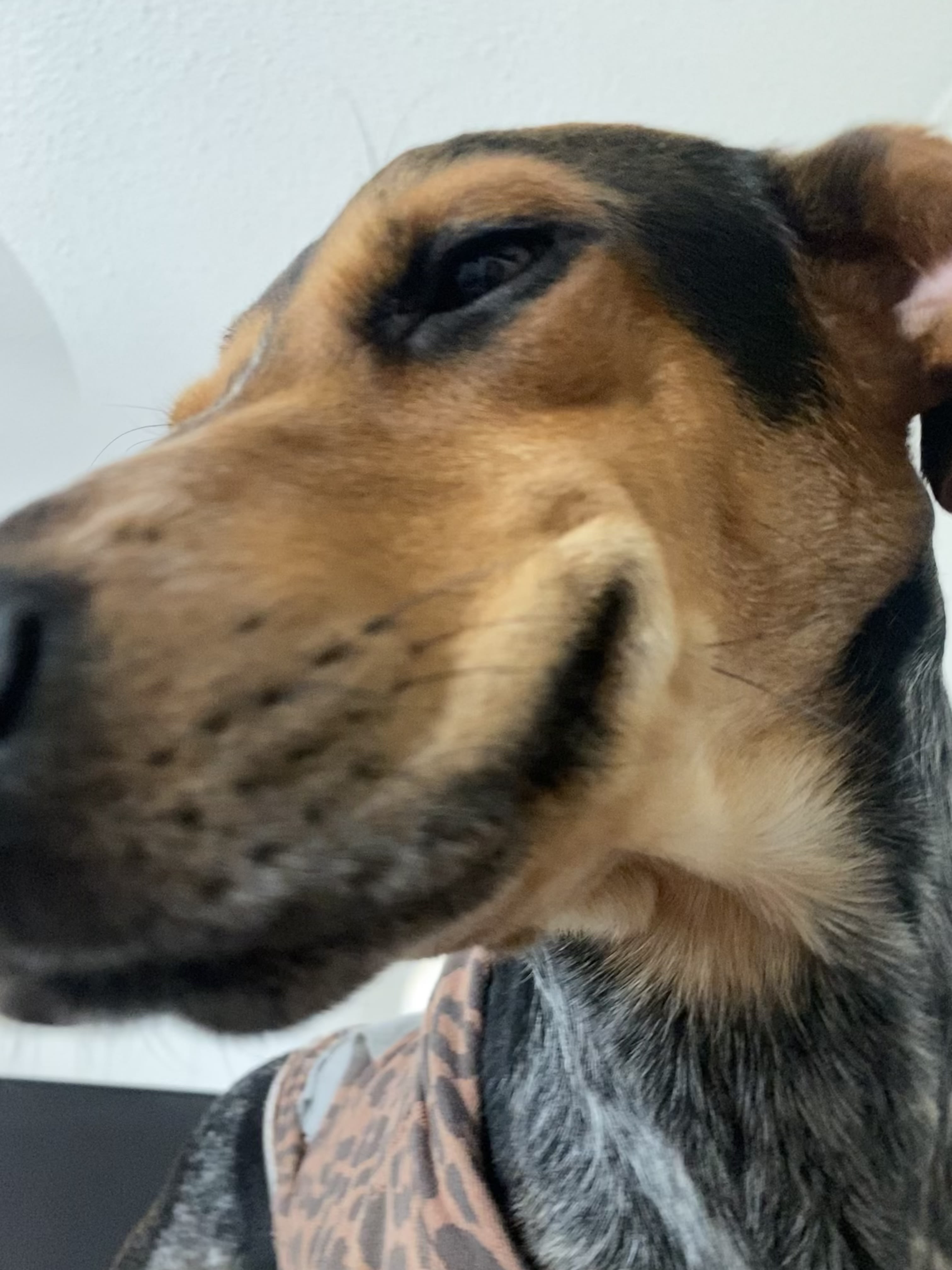 Marnie Marnie
