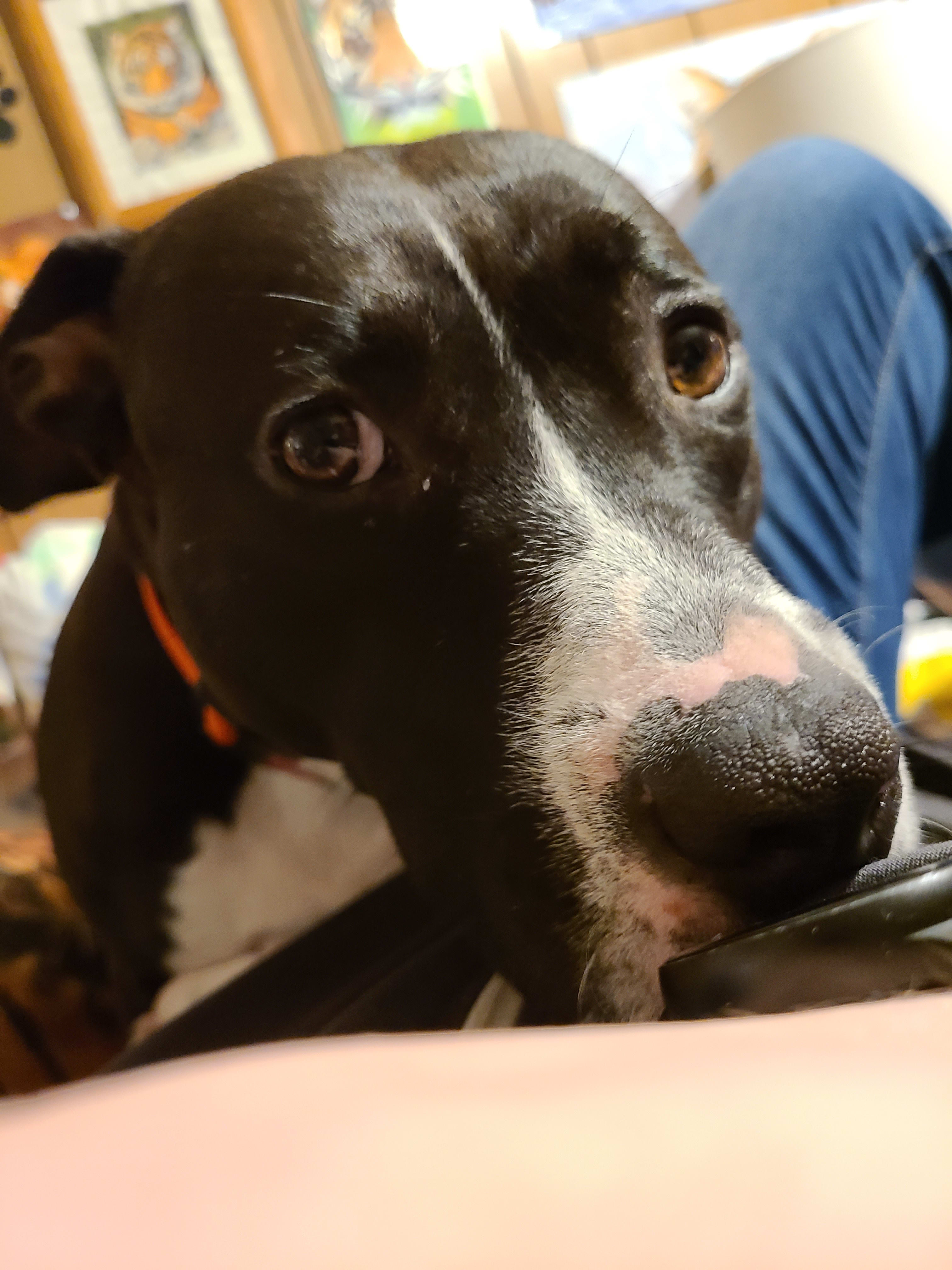 Lucy Lucy