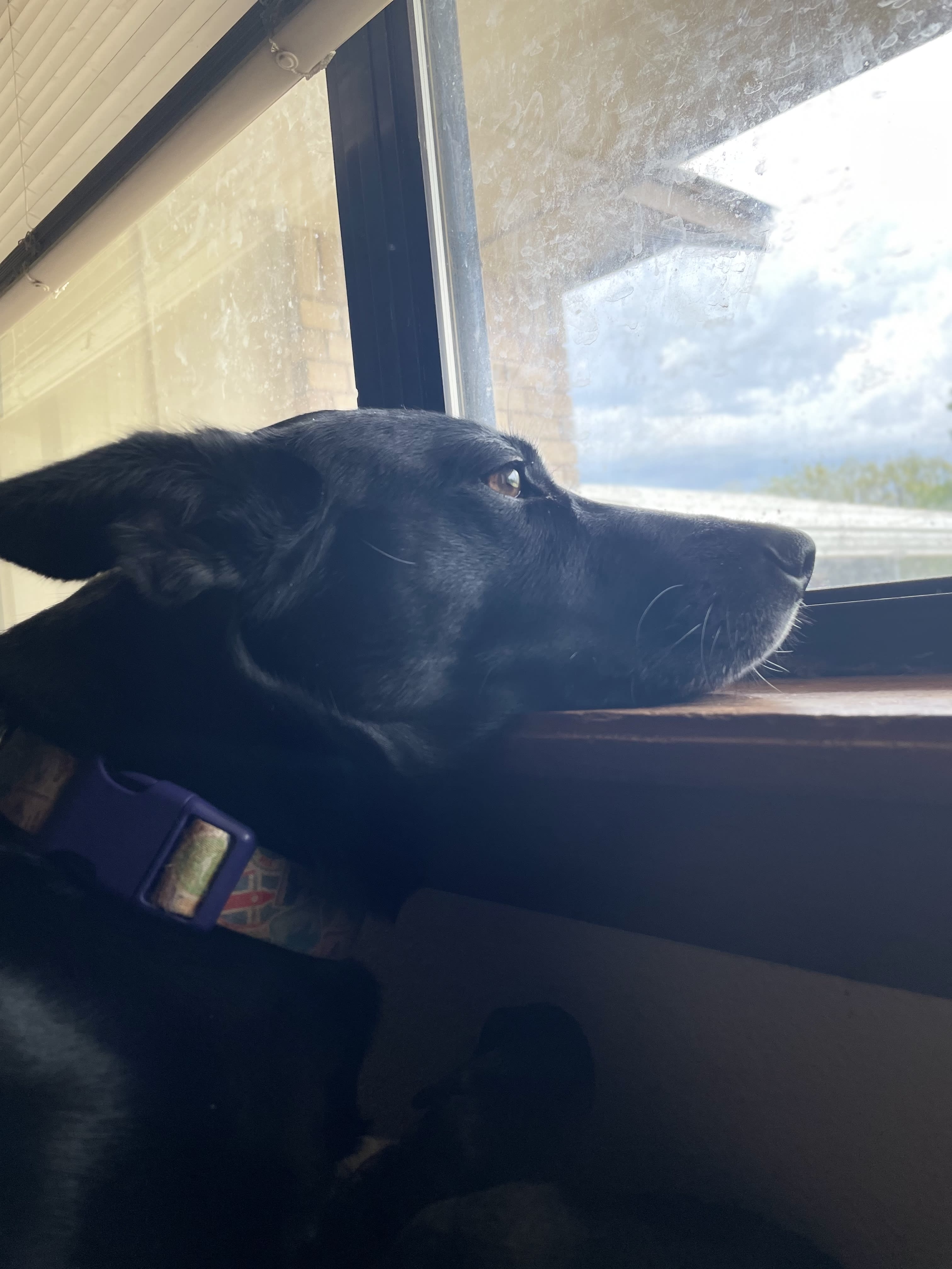 Lulu Lulu