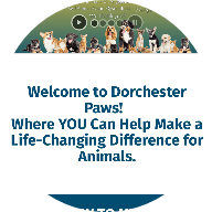 Dorchester Paws