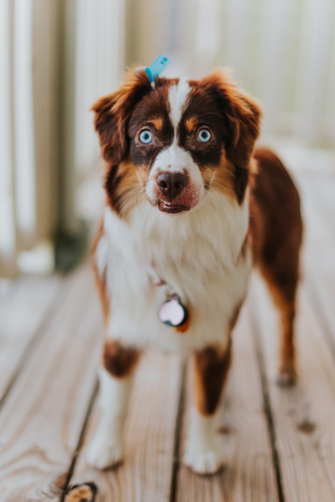 Oakley Oakley
