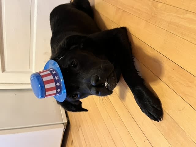 Rosie Rosie