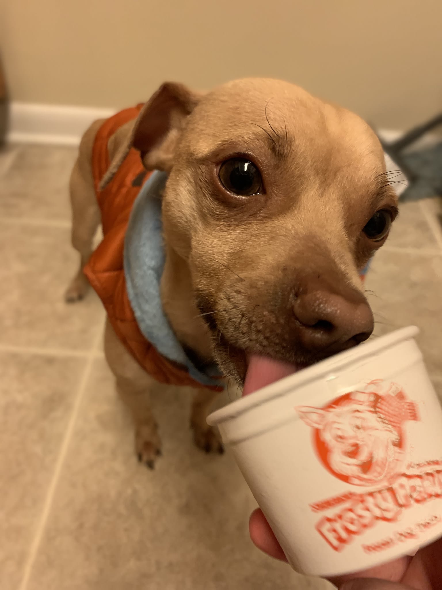 Buddy Buddy