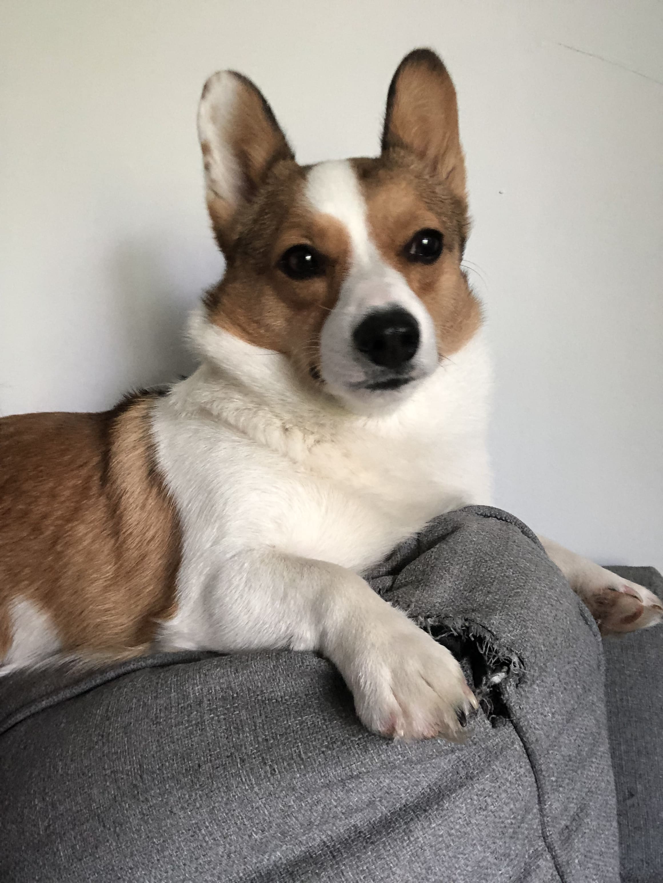 Mochi Mochi