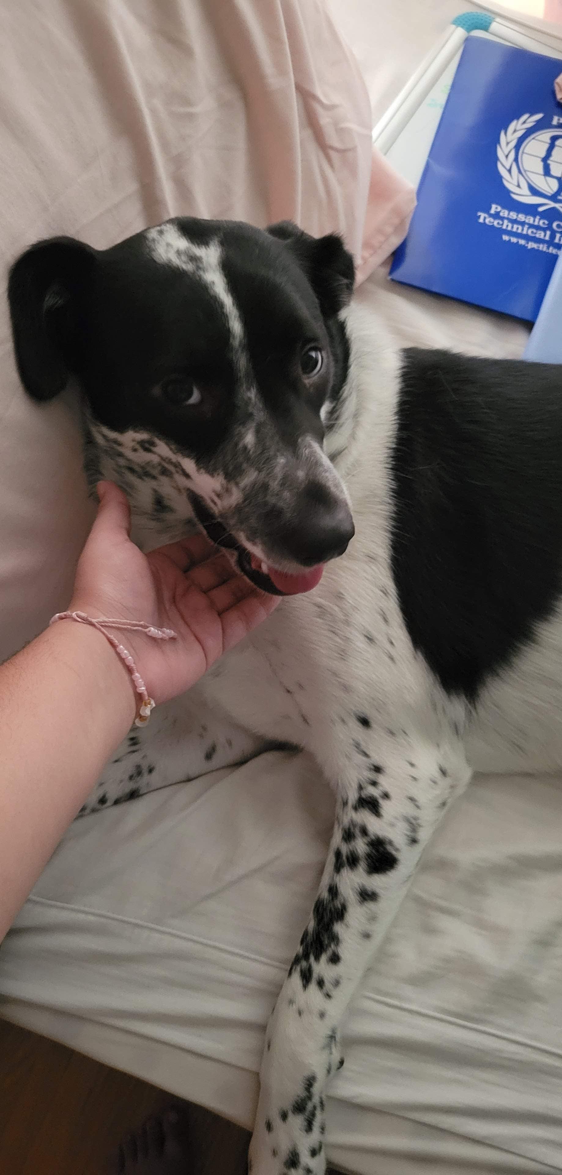 Nala Nala