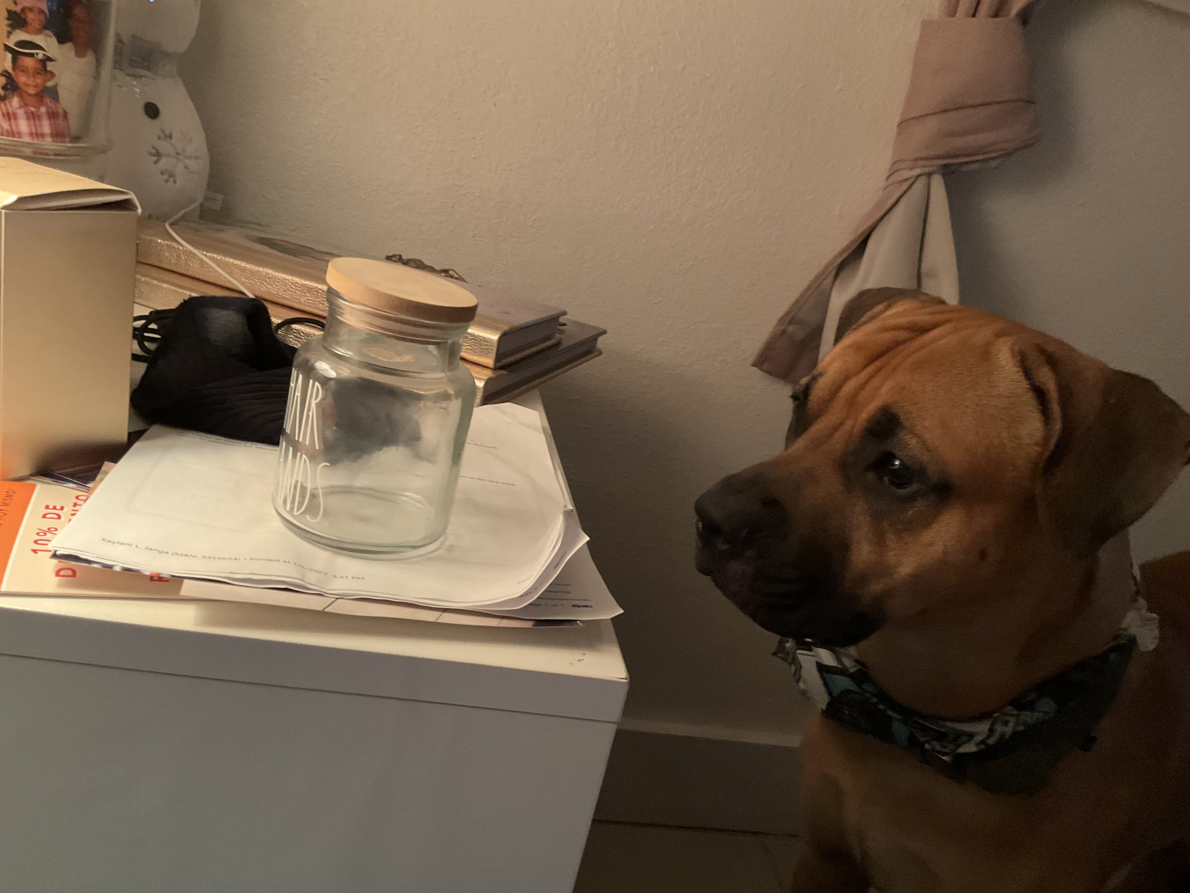 Milo Milo