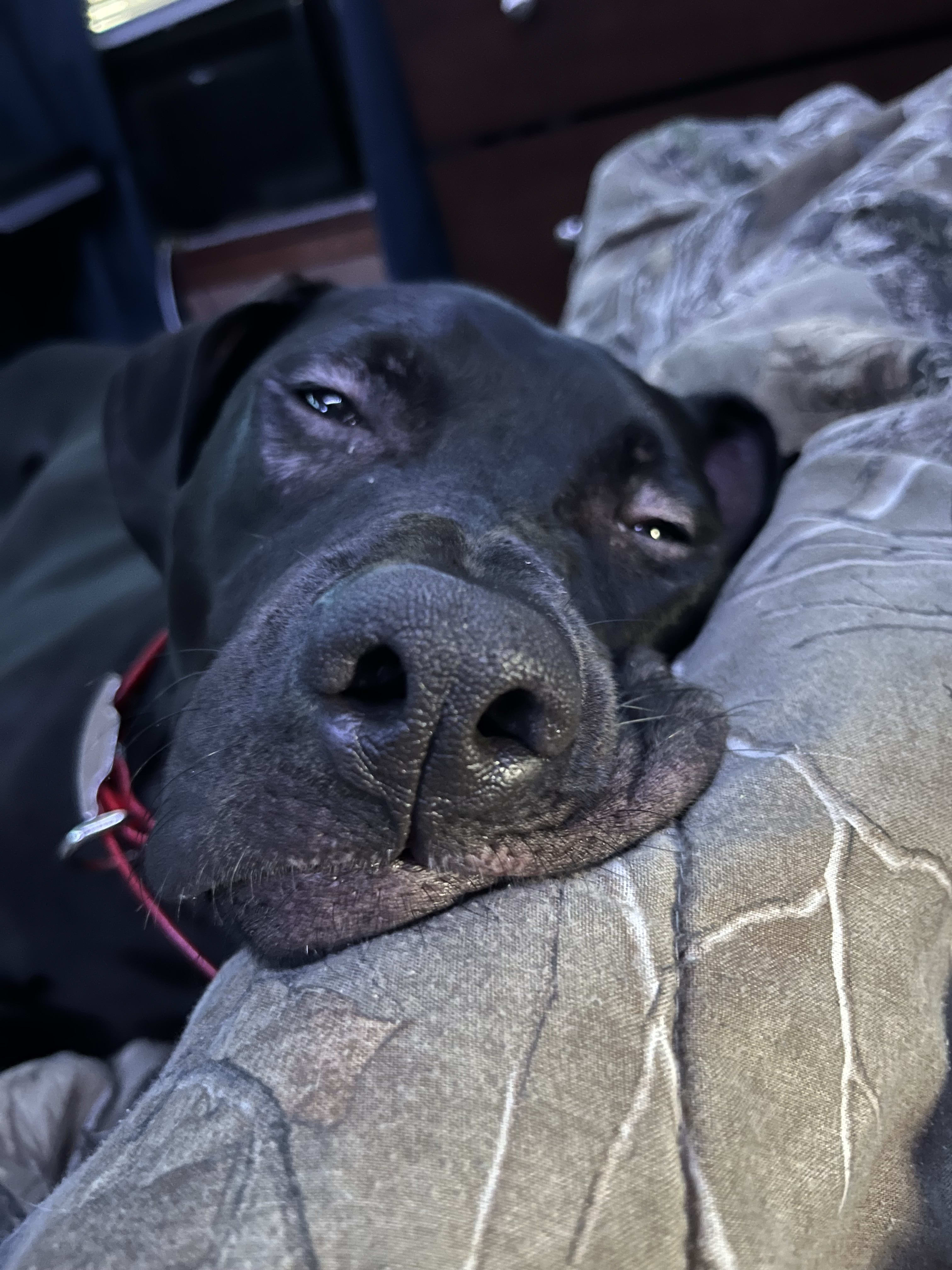 murphy murphy