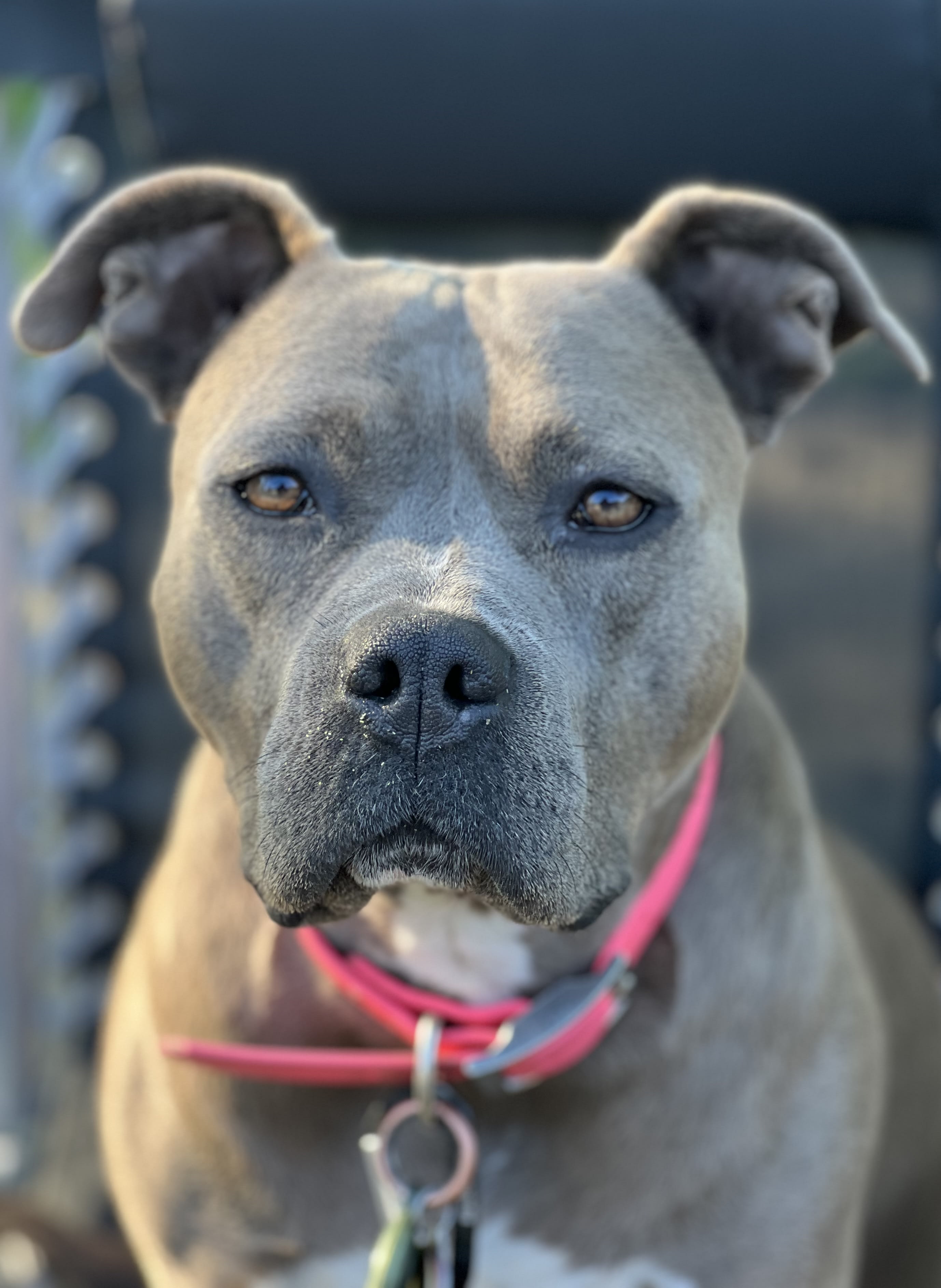 Suzie Suzie