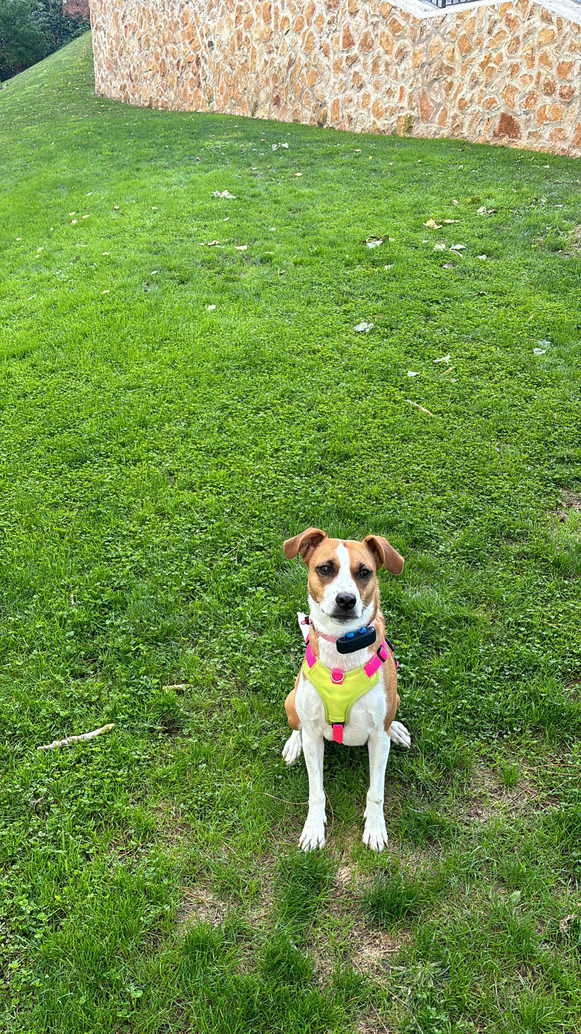 Bella Bella
