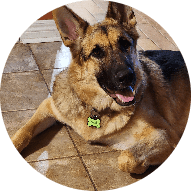 Urban Tails Animal Rescue