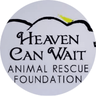 Heaven Can Wait Animal Rescue