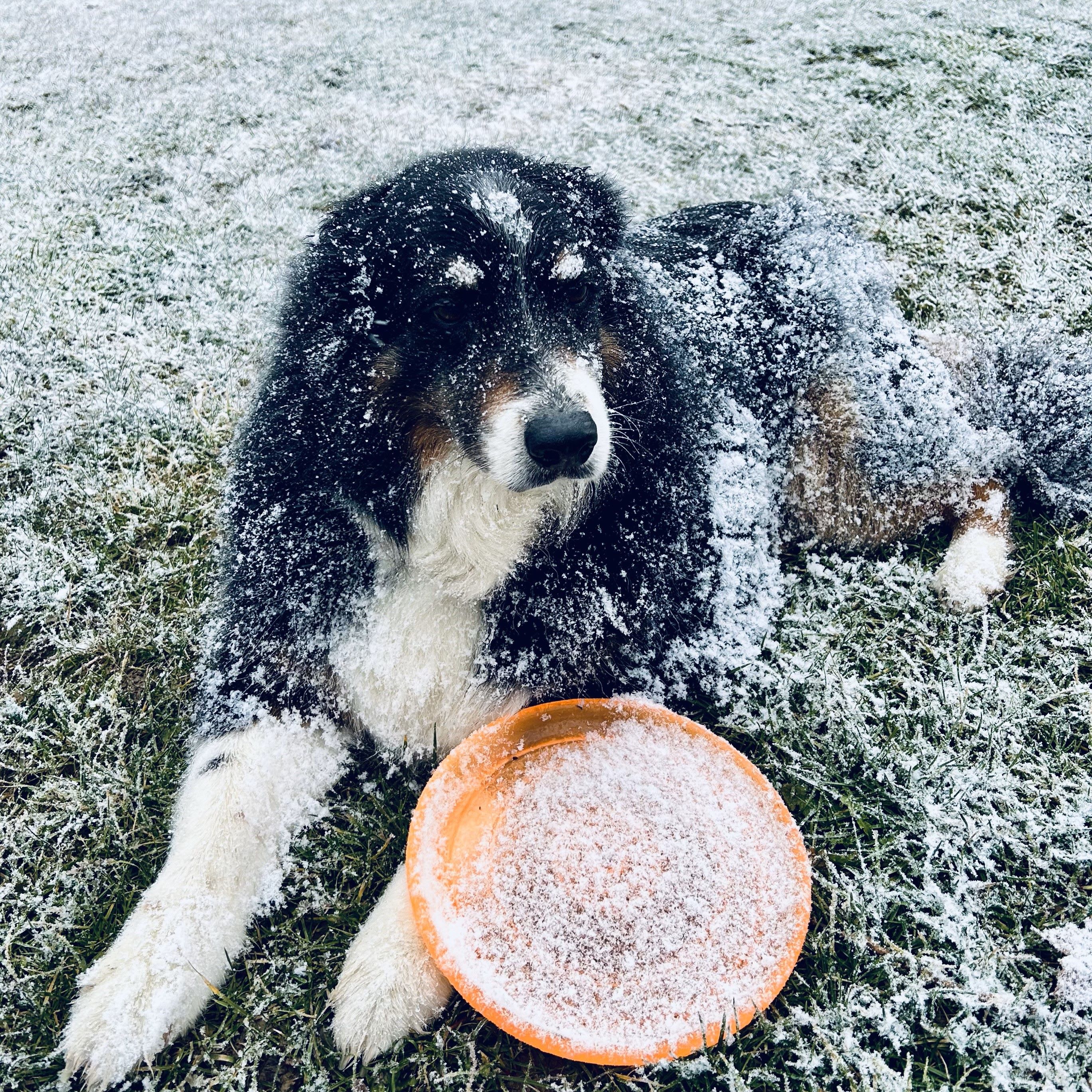 Skye