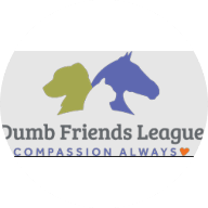 Dumb Friends League - Leslie A. Malone Center