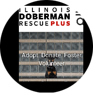 Illinois Doberman Rescue