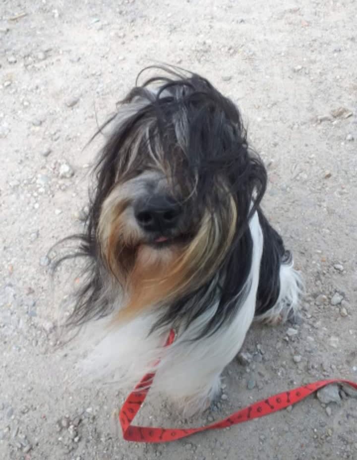 Xena