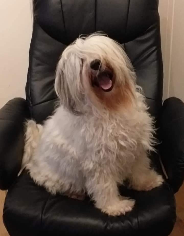 Xena