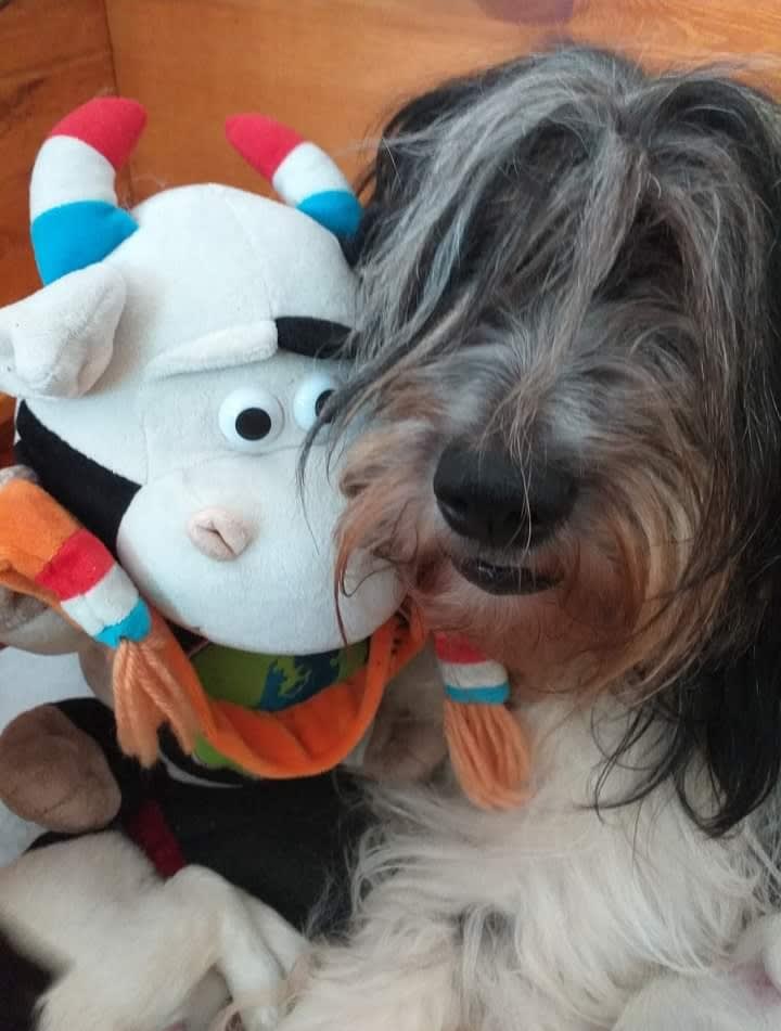 Xena