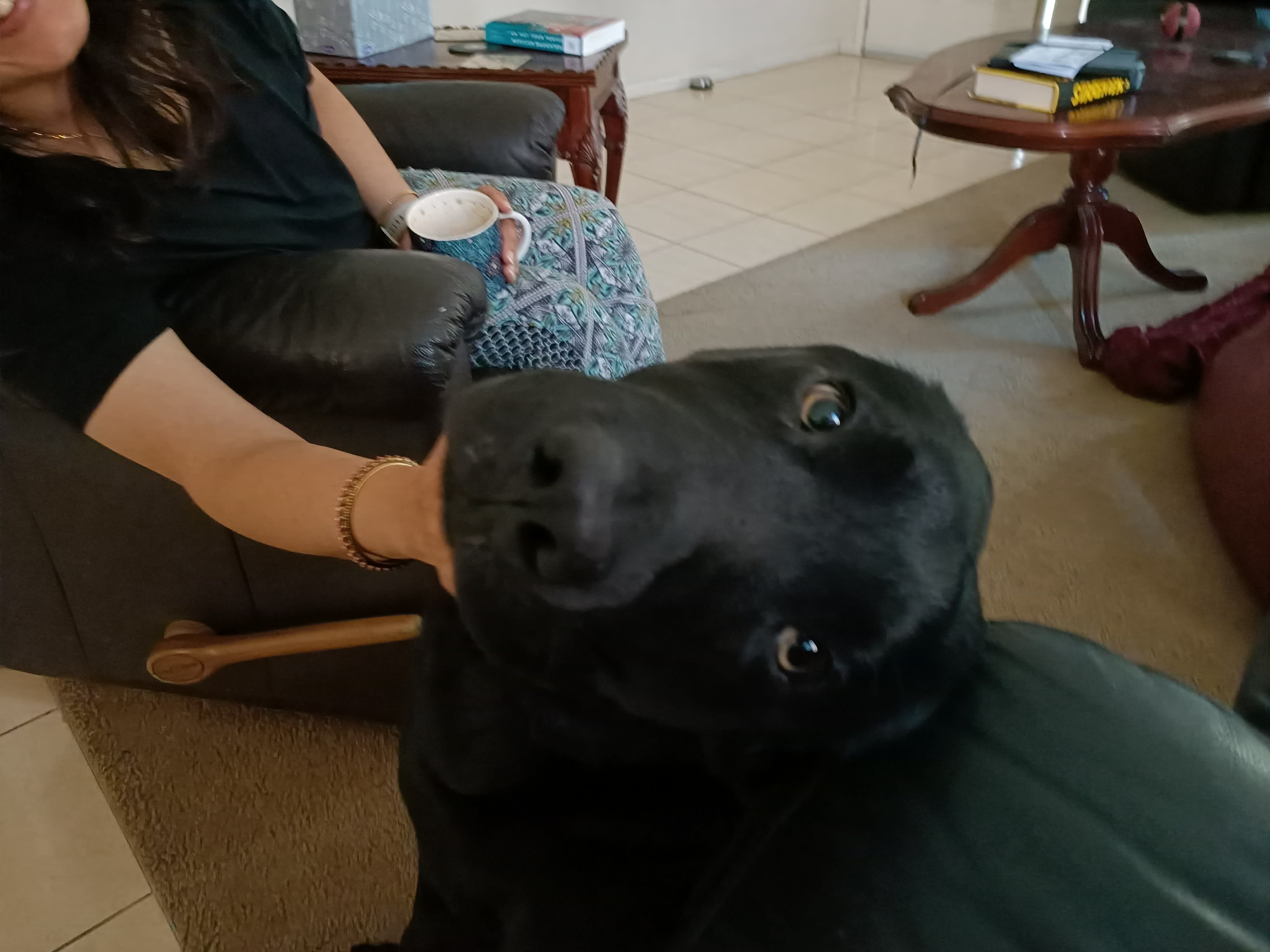Zeus