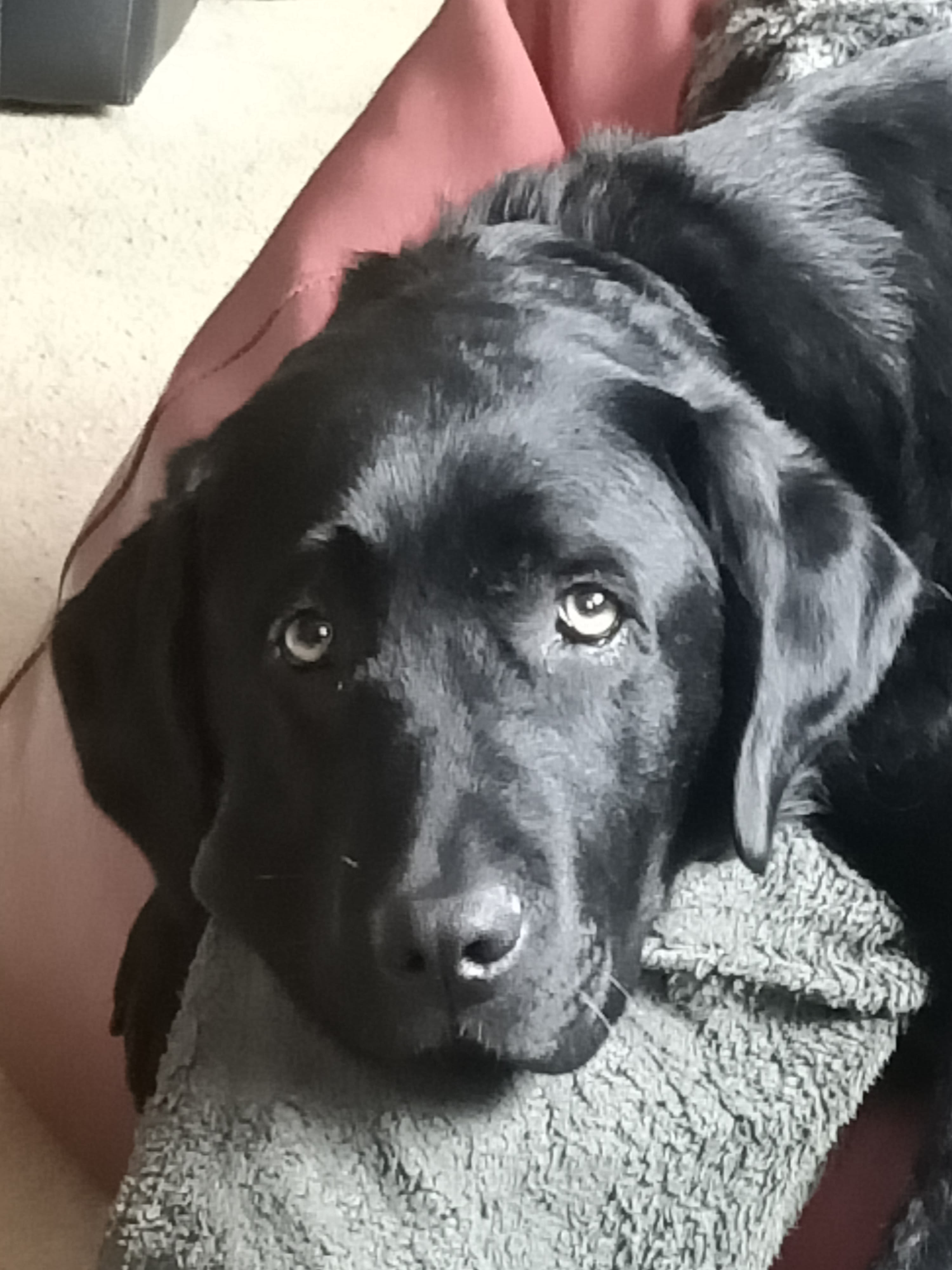 Zeus
