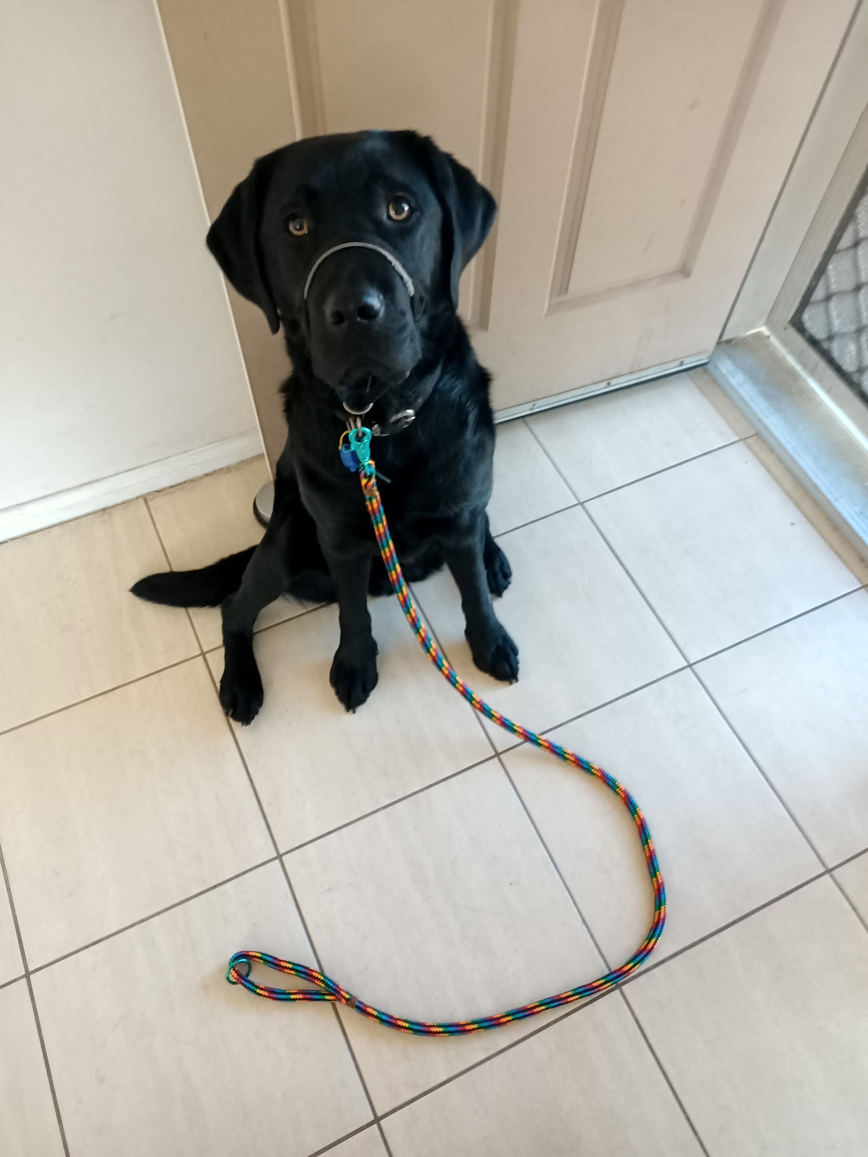 Zeus