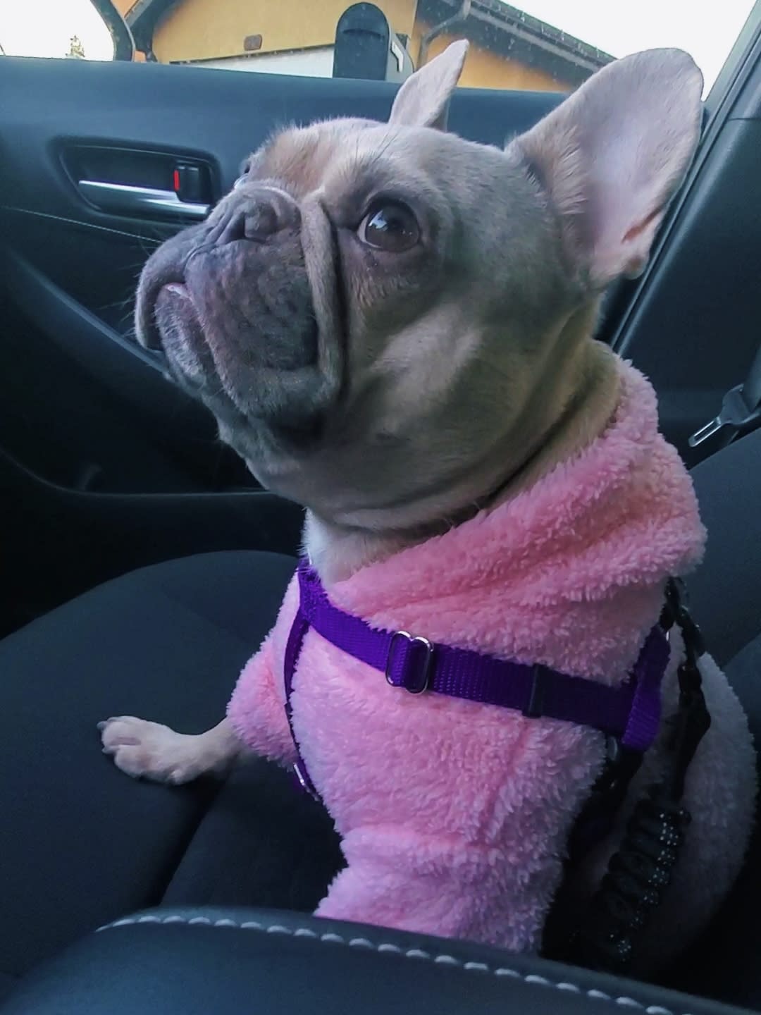 Nomi