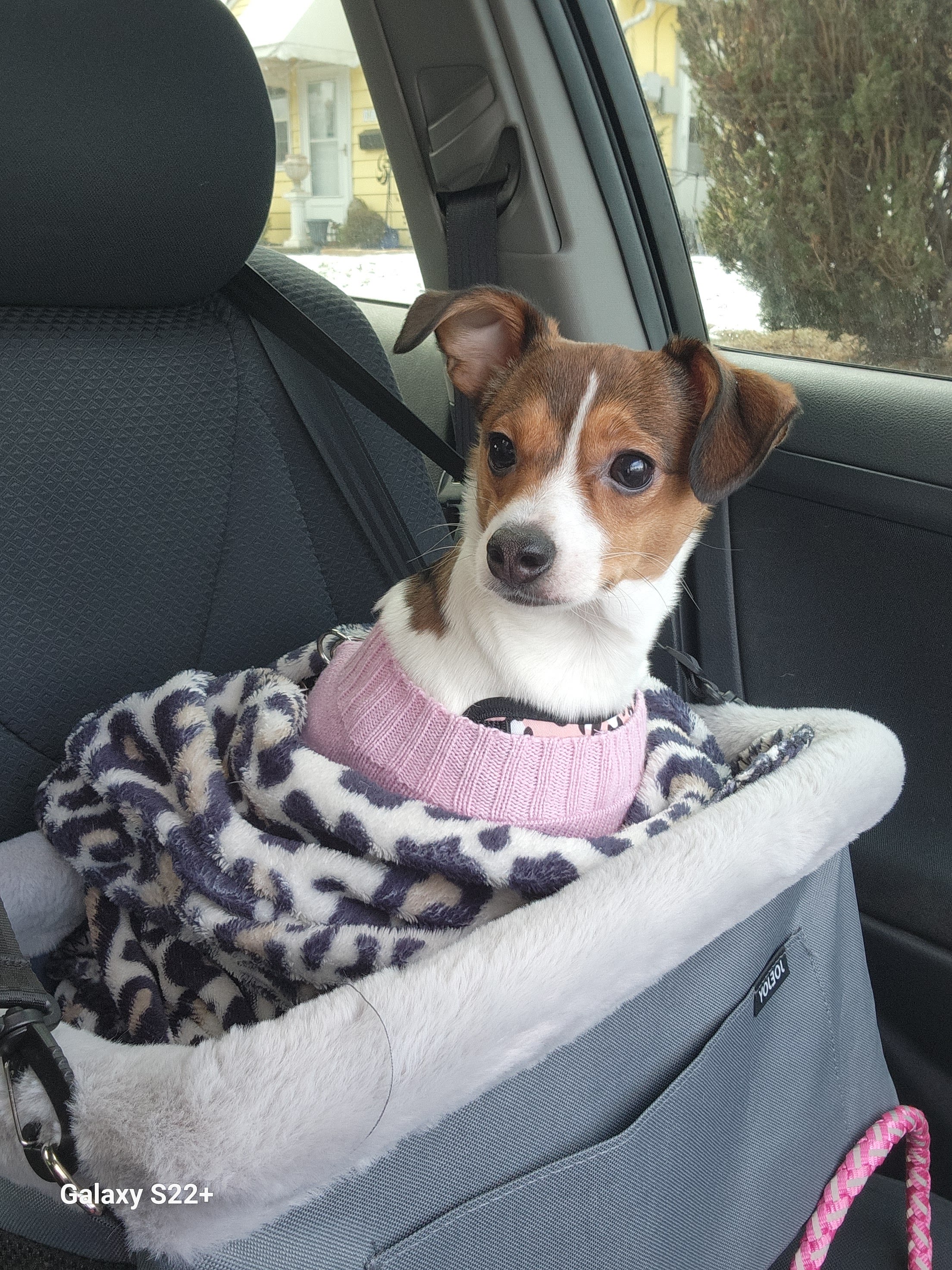 Millie