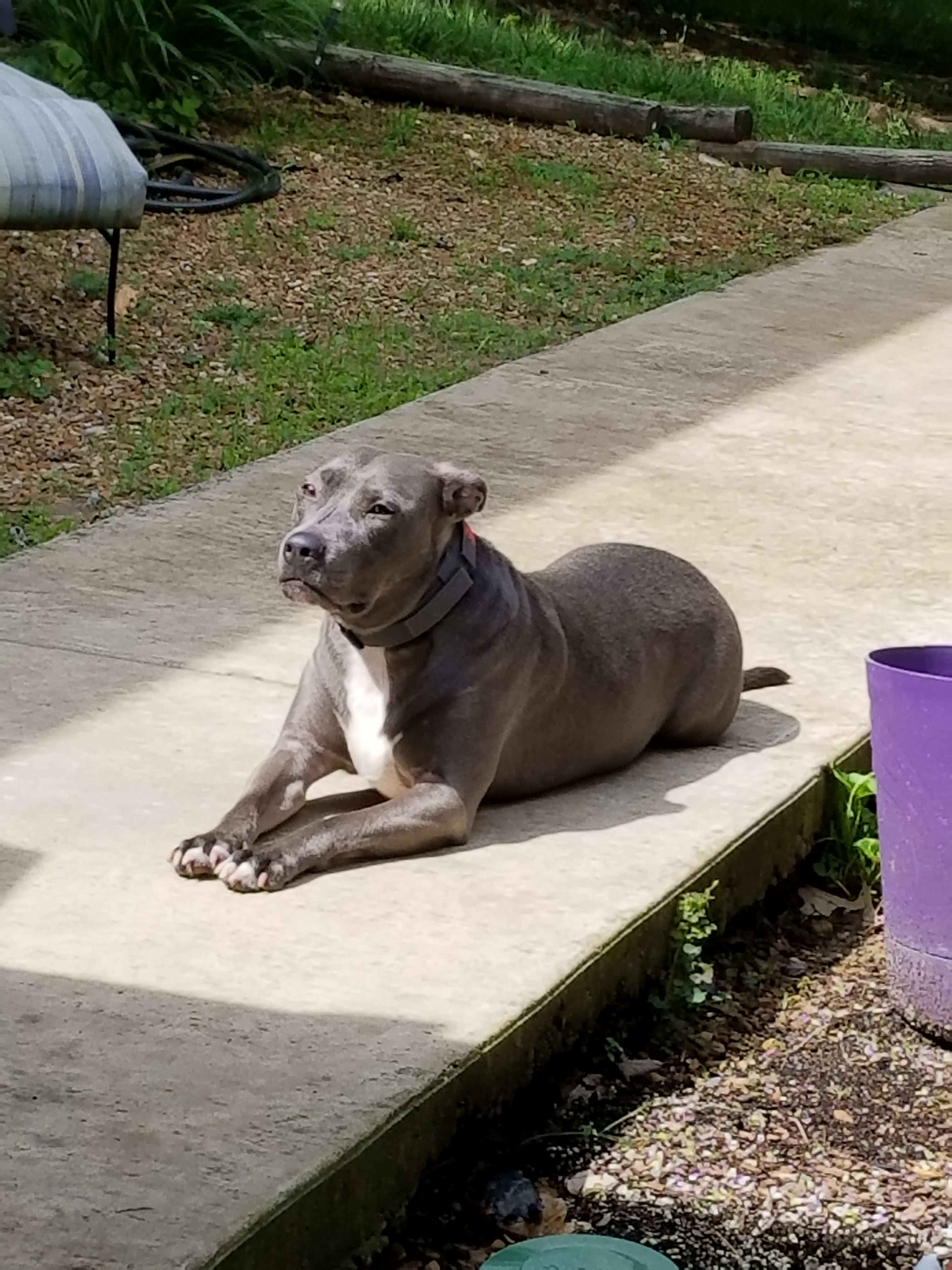 Maggie