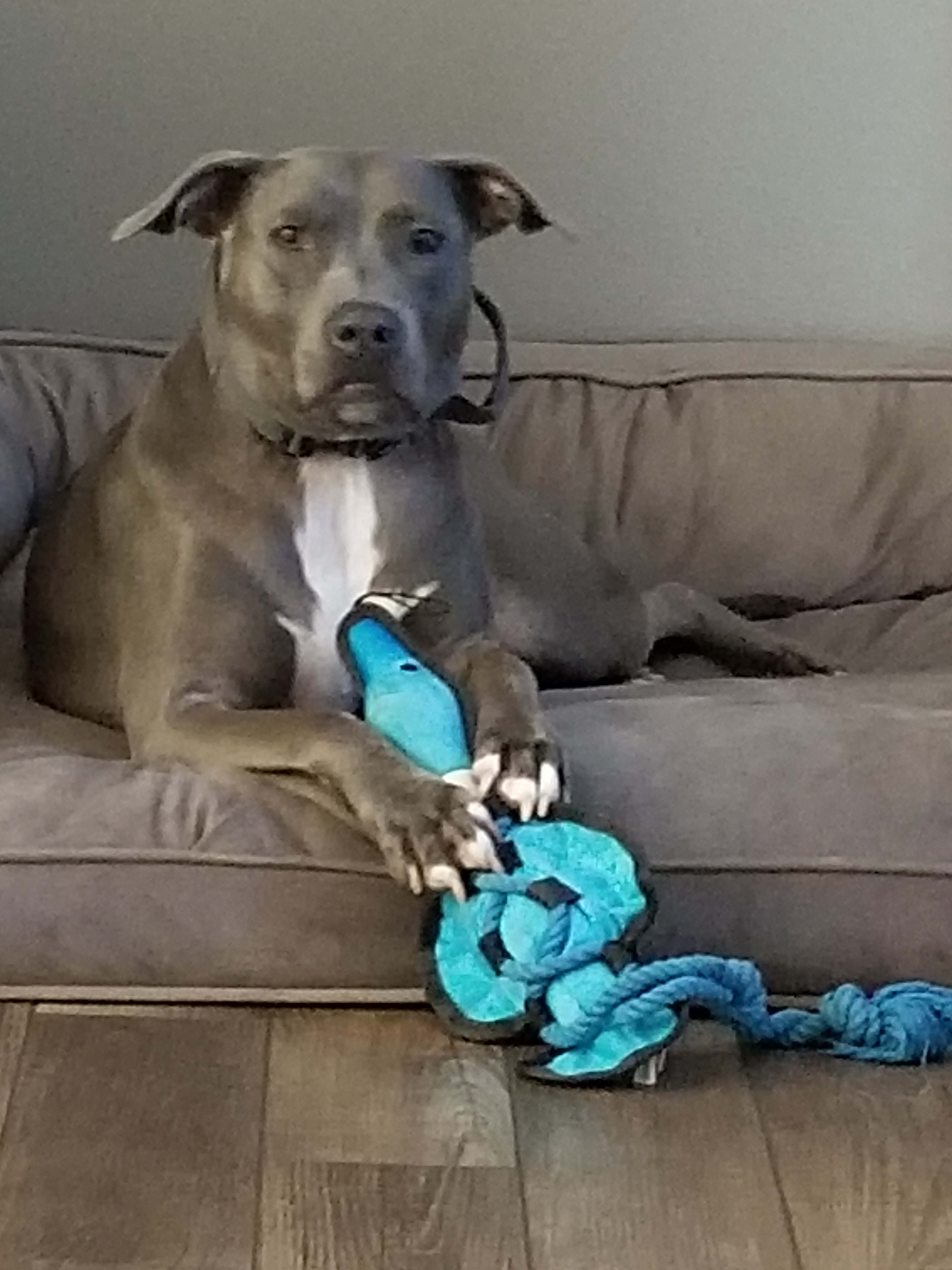 Maggie