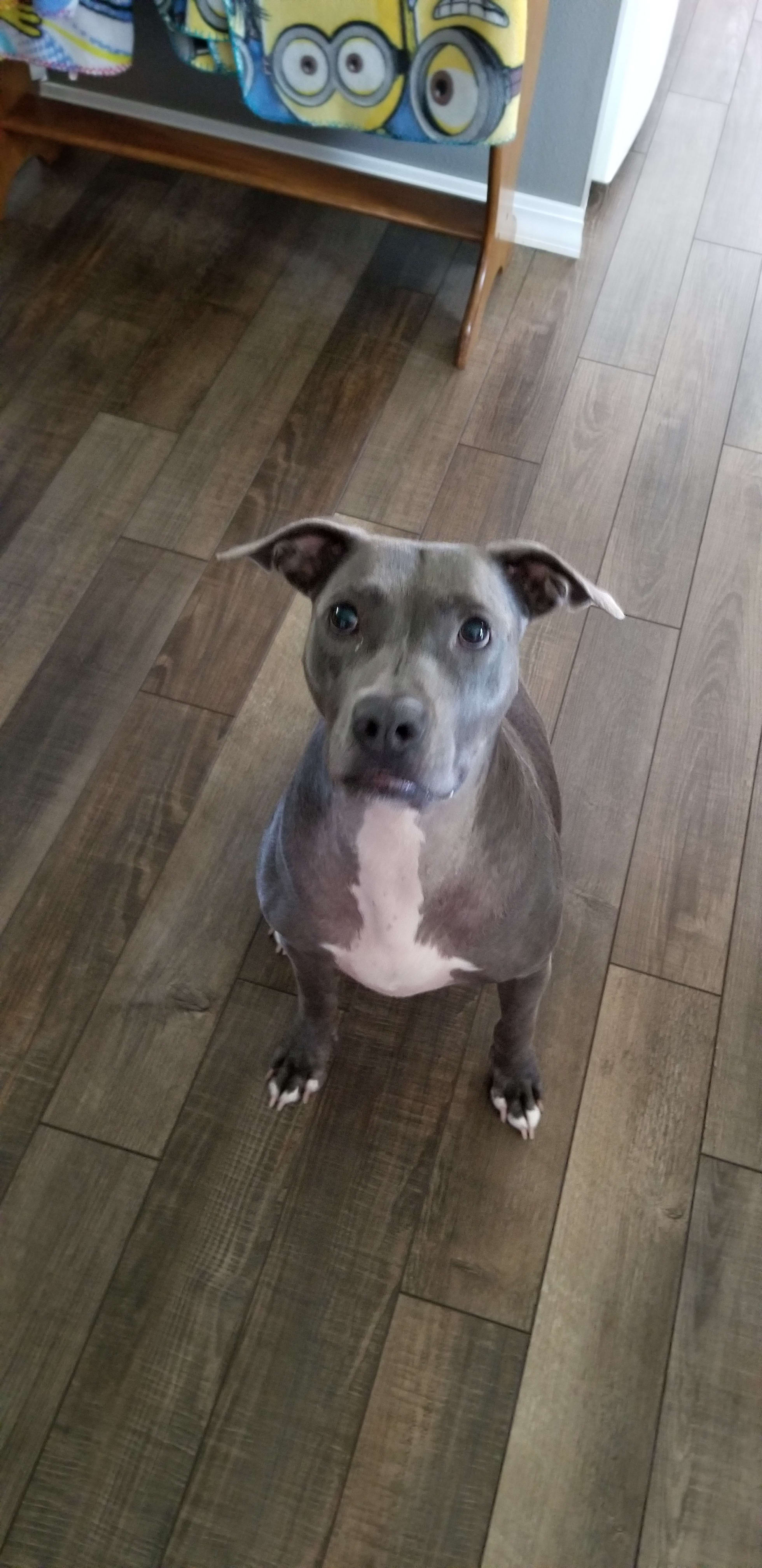 Maggie