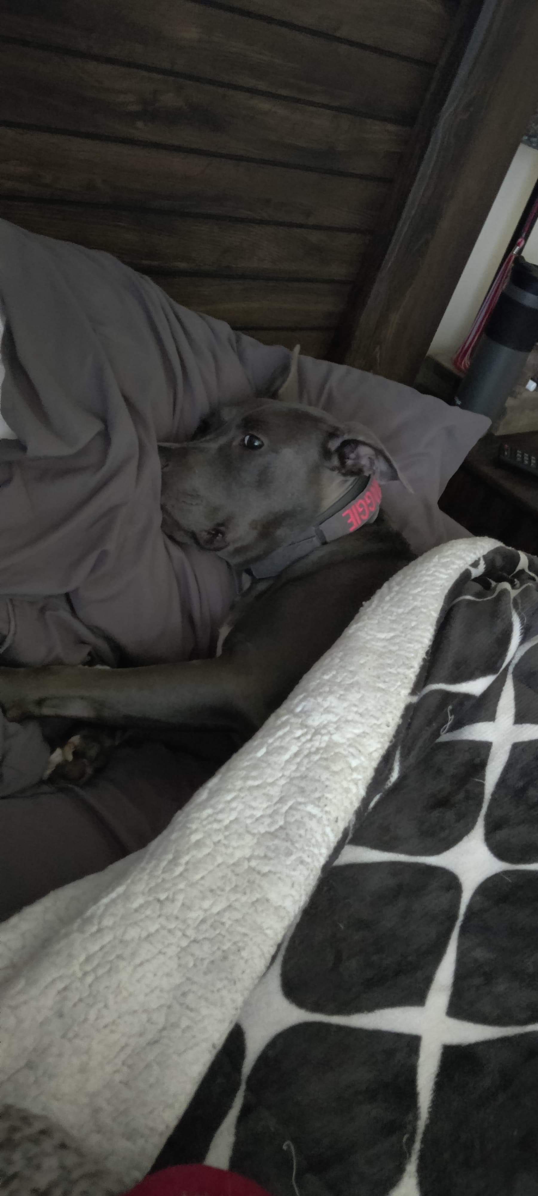 Maggie