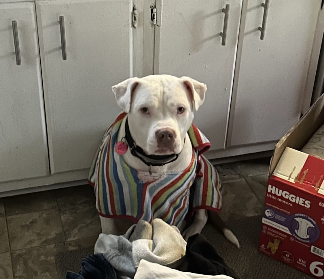 Thor