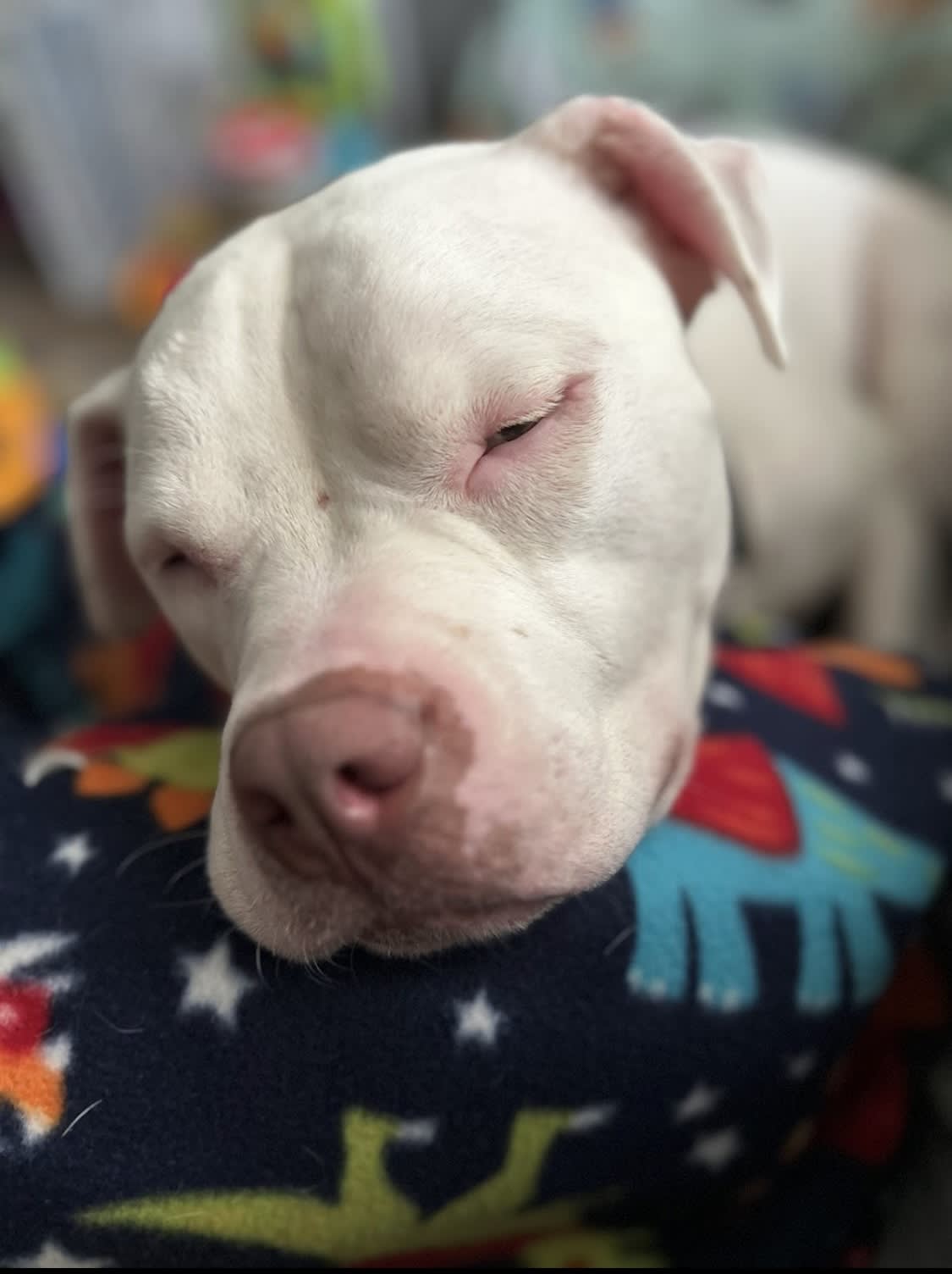 Thor