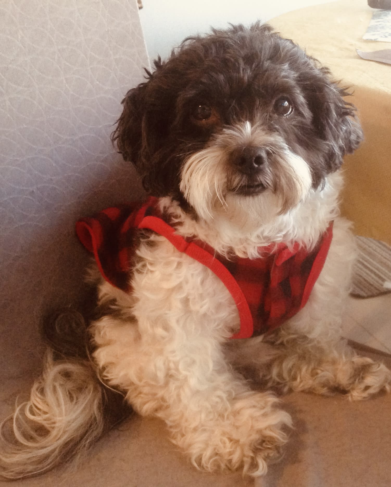 OSCAR
