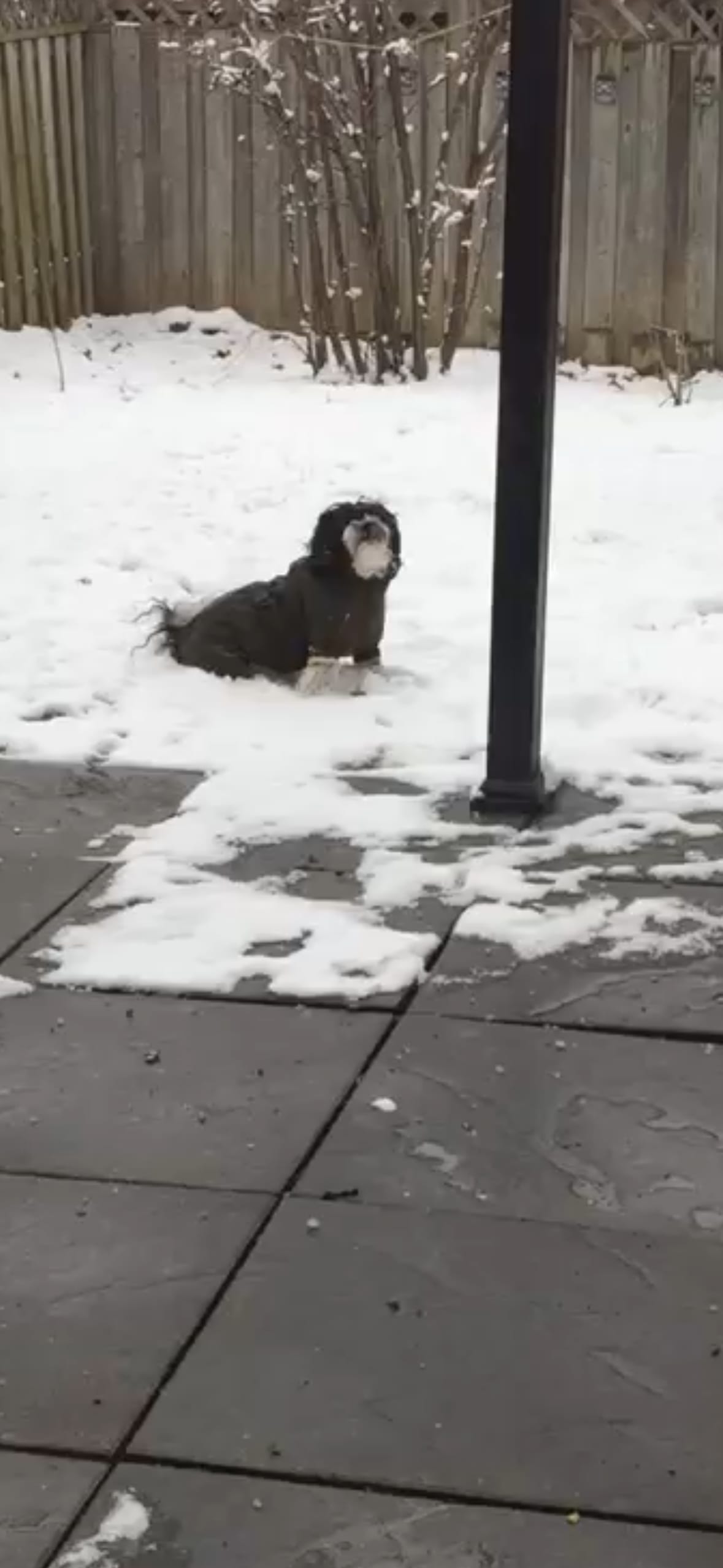 OSCAR