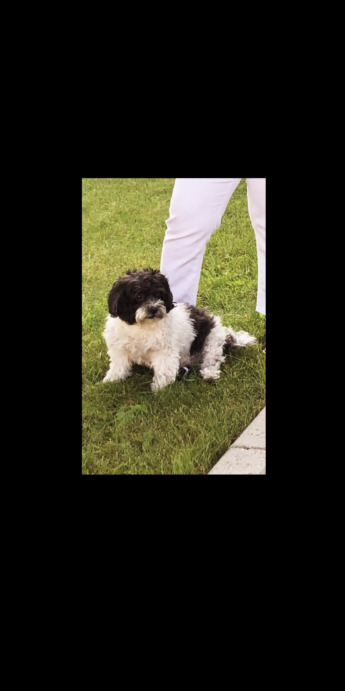OSCAR